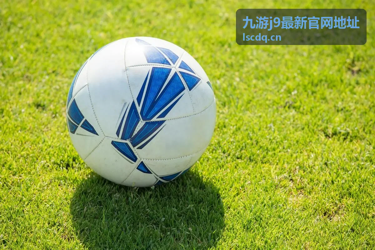 九游j9最新官网地址内容检索与攻略查询功能示意